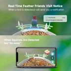 BirdyCam™ | Smart Bird Feeder Camera with AI Recognition & Night Vision for Bird Watching & Wildlife Observation