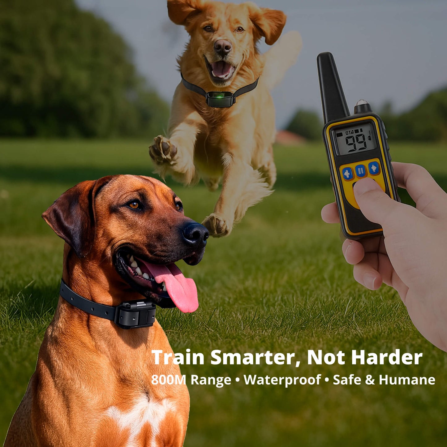 800M Rechargeable Electric Dog Training Collar | Waterproof, Remote Control & Ideal for Effective Dog Training