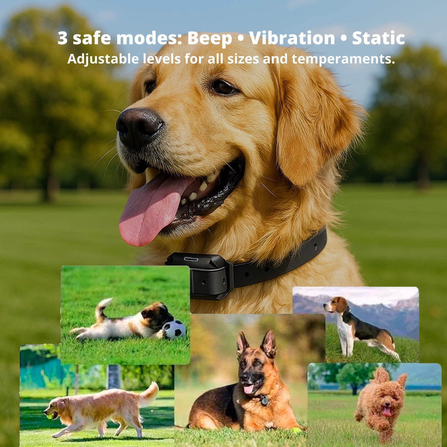 800M Rechargeable Electric Dog Training Collar | Waterproof, Remote Control & Ideal for Effective Dog Training