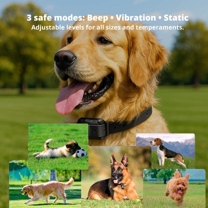 800M Rechargeable Electric Dog Training Collar | Waterproof, Remote Control & Ideal for Effective Dog Training