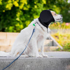 Noise-Suppressing Dog Ear Protectors | Comfortable, Breathable Polyester for Fireworks & Thunderstorm Anxiety Relief