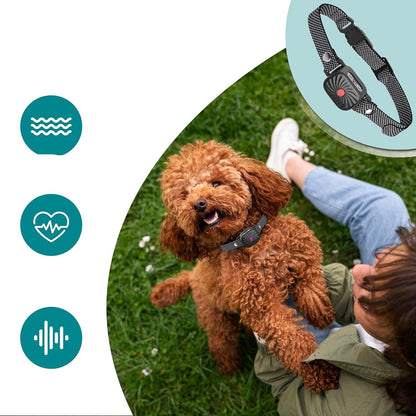 Adjustable Anti Bark Collar for Dogs | Humane, Comfortable & Effective Bark Control Device for Small to Large Breeds