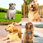 Anti-Barking Dog Collar | Professional Training Pet Device | Safe Shock-Free Technology