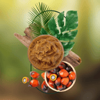 Batana Hair Oil | Deep Hydration, Strengthening & Protection for Healthy, Vibrant Hair