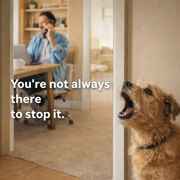 Hands-Free Automatic Bark Control | Continuous Ultrasonic Silencer for Day & Night Home Use