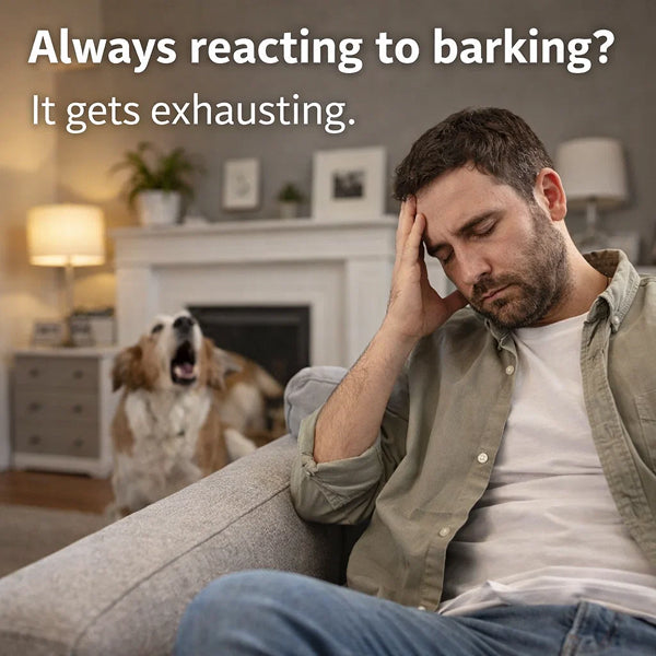 Hands-Free Automatic Bark Control | Continuous Ultrasonic Silencer for Day & Night Home Use