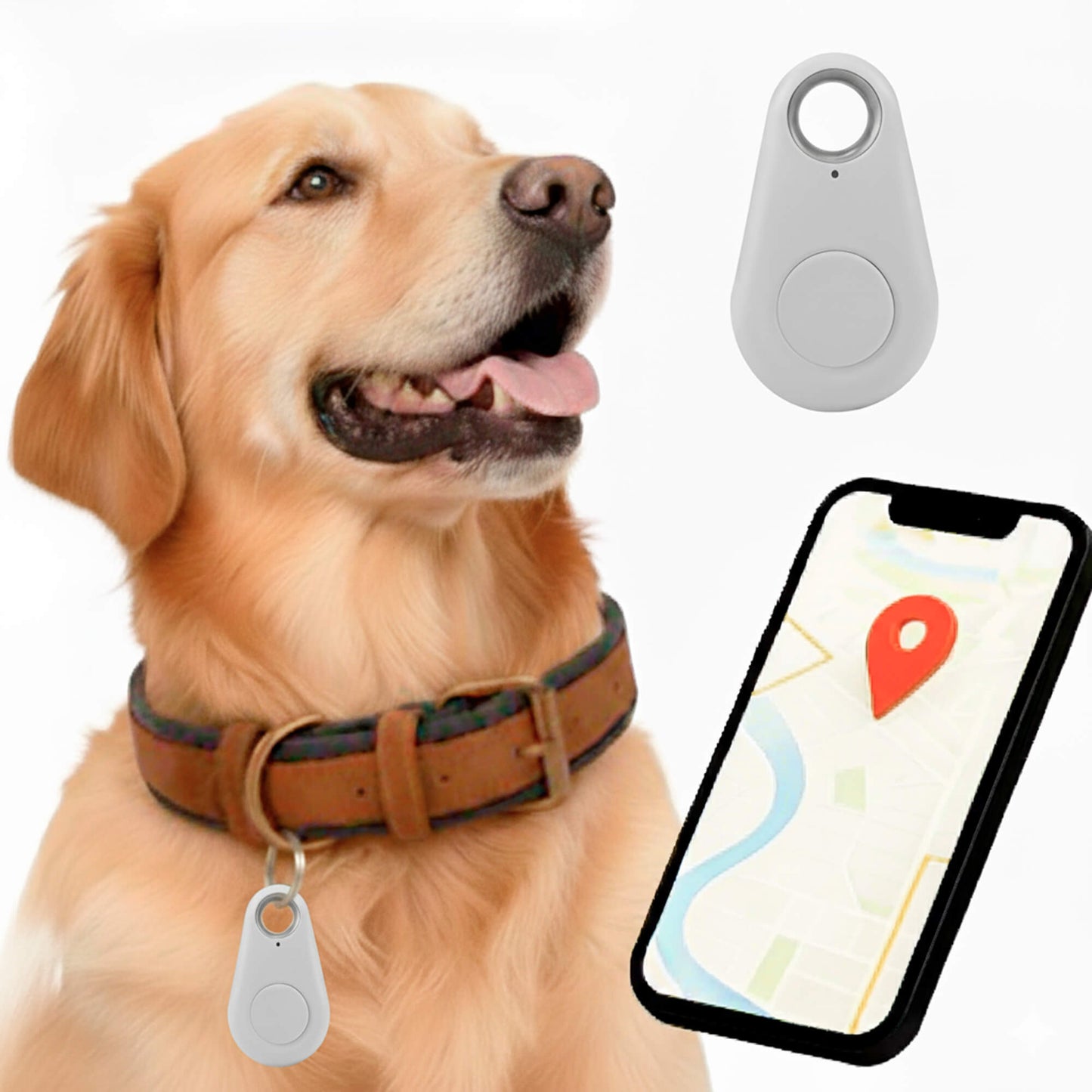 GPS Dog Tracker | Waterproof, Real-Time Location & Safety Zone Alerts for Outdoor Adventures