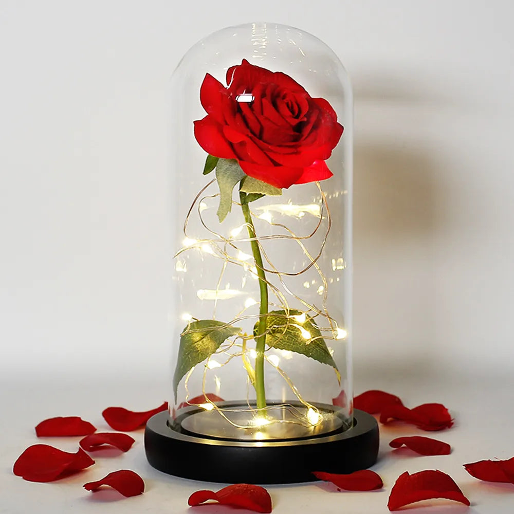 Eternal Rose in Glass Dome | Handpicked, LED Lit & Ideal for Romantic Gifts and Home Decor