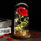 Eternal Rose in Glass Dome | Handpicked, LED Lit & Ideal for Romantic Gifts and Home Decor