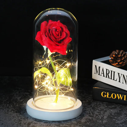 Eternal Rose in Glass Dome | Handpicked, LED Lit & Ideal for Romantic Gifts and Home Decor
