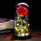 Eternal Rose in Glass Dome | Handpicked, LED Lit & Ideal for Romantic Gifts and Home Decor
