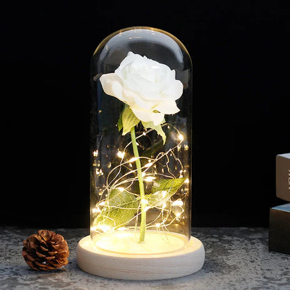 Eternal Rose in Glass Dome | Handpicked, LED Lit & Ideal for Romantic Gifts and Home Decor