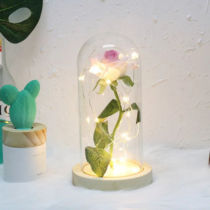 Eternal Rose in Glass Dome | Handpicked, LED Lit & Ideal for Romantic Gifts and Home Decor