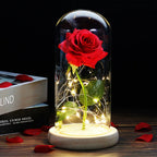 Eternal Rose in Glass Dome | Handpicked, LED Lit & Ideal for Romantic Gifts and Home Decor