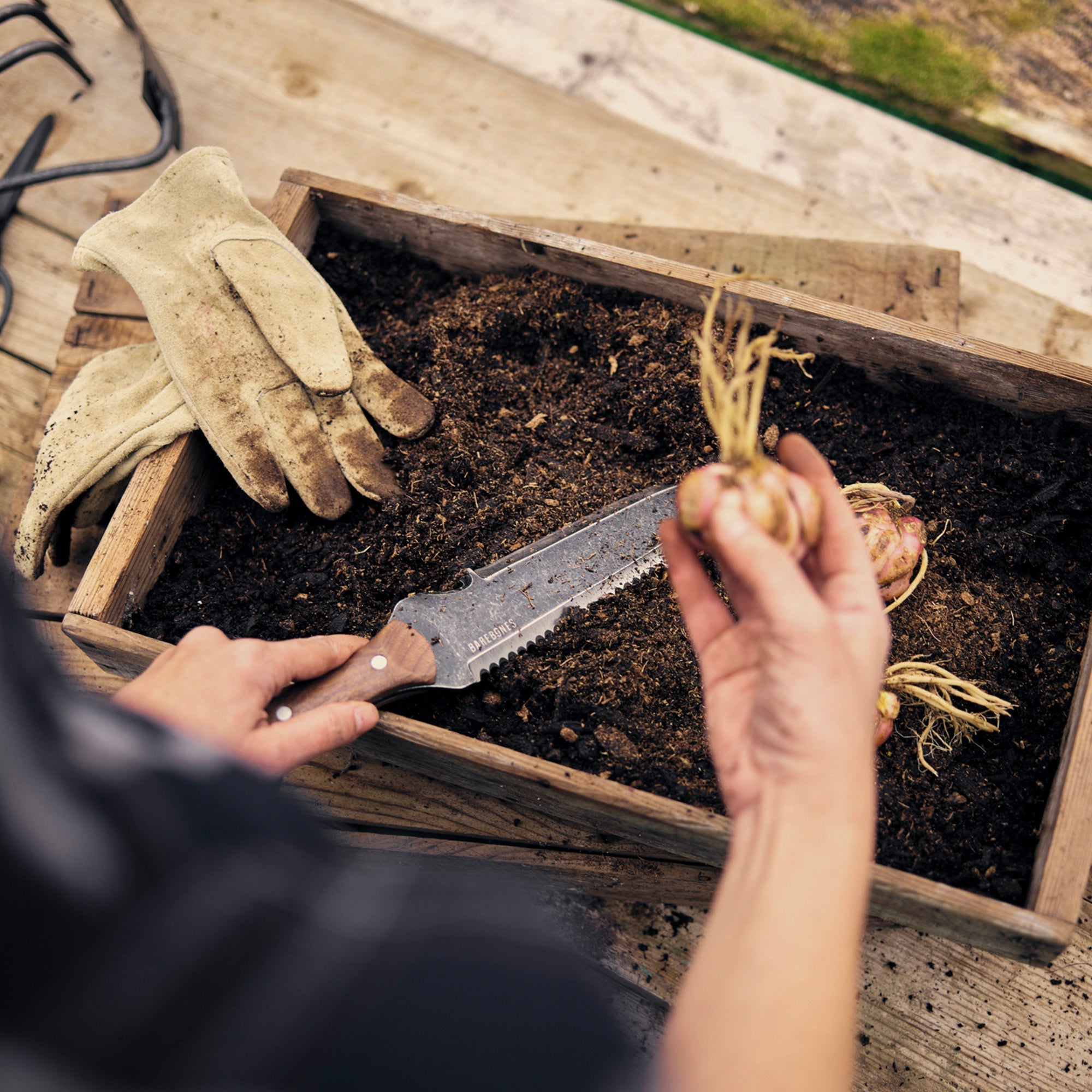 Hori Hori Classic Gardening Tool | Stainless Steel, Serrated Blade & Comfortable Walnut Handle for Digging and Weeding