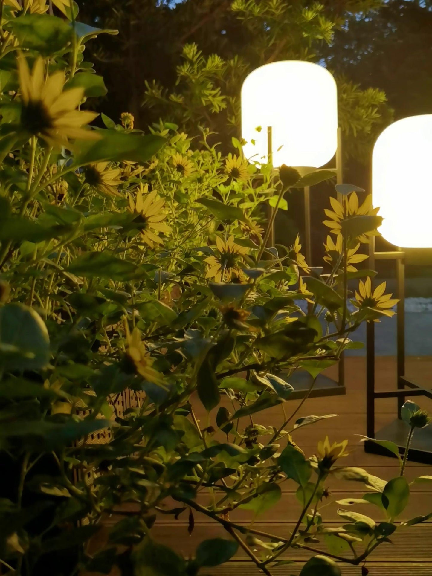 Solar Floor Lamp Lantern - Waterproof LED Outdoor Lighting for Patios, Gardens, and Backyards