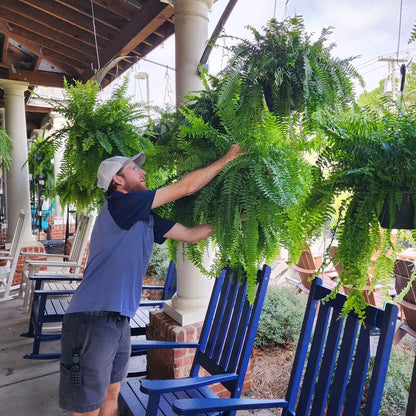UV Resistant Artificial Boston Fern | Lifelike, Waterproof & Maintenance-Free for Outdoor Décor