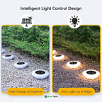 Solar-Powered Garden Lights | Rust-Proof, Weatherproof & Ideal for Year-Round Outdoor Use