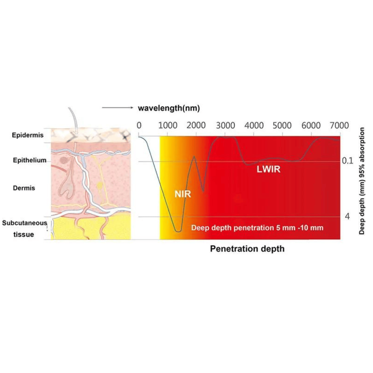 Red Light Therapy Glove for Arthritis Relief – Best Glove for Arthritic Hands and Fingers