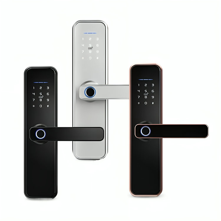MysticGuard™ | Keyless Smart Door Lock with Biometric Access | Secure ...