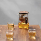 Travel Glass Tea Set with Cups | Compact Teapot With Infuser, Lightweight with Advanced Filtration for Camping & Outdoor Adventures