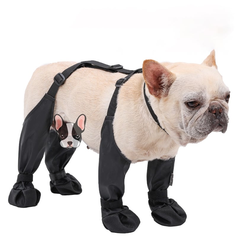 Canine Snow Boots