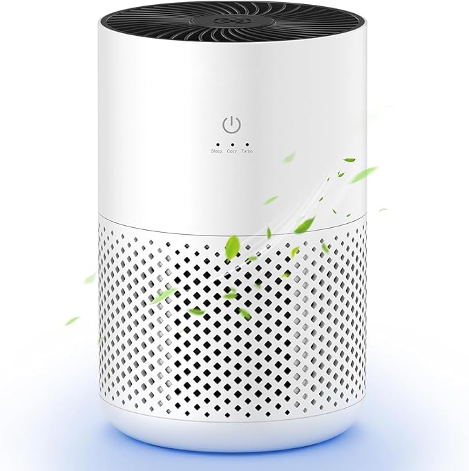 Compact Air Purifier | True HEPA Filter, Ultra-Quiet & Ideal for Small to Medium Rooms