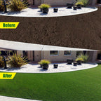 Biodegradable Netted Grass Seed Mat | All-in-One Growth System for Quick Germination in Sun, Shade & Slopes