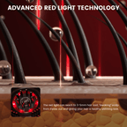 Scalp Massaging Brush with Red Light Therapy | Promotes Hair Growth & Relieves Scalp Tension for Healthier Hair