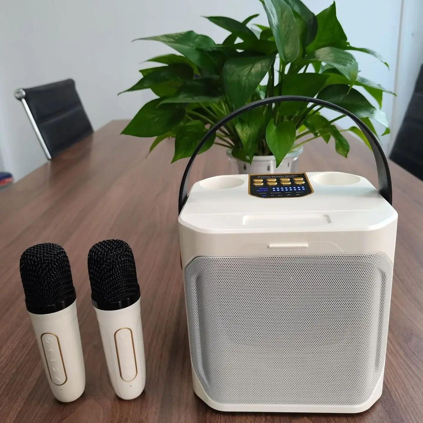 High Power Portable Bluetooth Karaoke Speaker with Rechargeable Battery for Outdoor and Indoor Use
