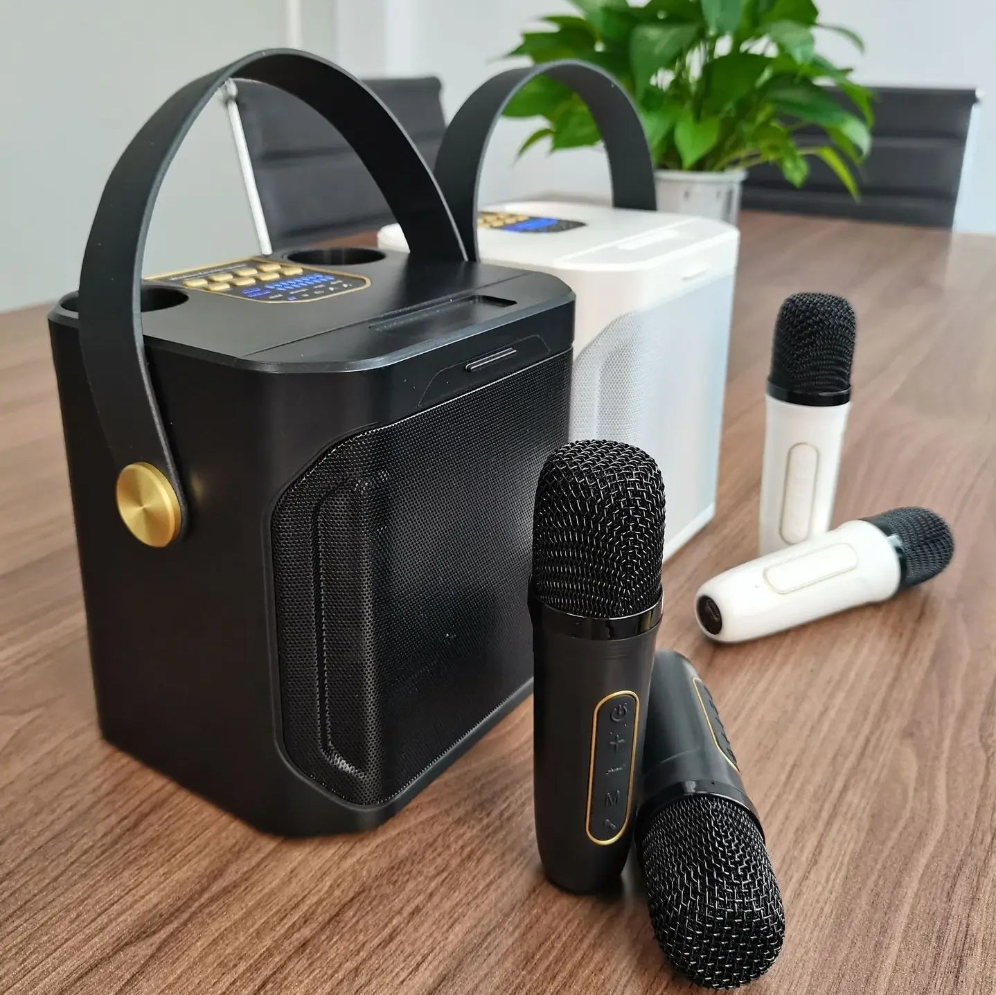 High Power Portable Bluetooth Karaoke Speaker with Rechargeable Battery for Outdoor and Indoor Use