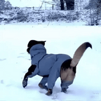 Dog Rain Coat with Legs - Waterproof Dog Jacket for Small and Large Breeds | UK Cozy Winter Wear