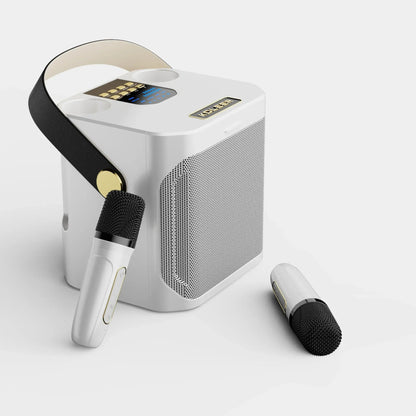 High Power Portable Bluetooth Karaoke Speaker with Rechargeable Battery for Outdoor and Indoor Use