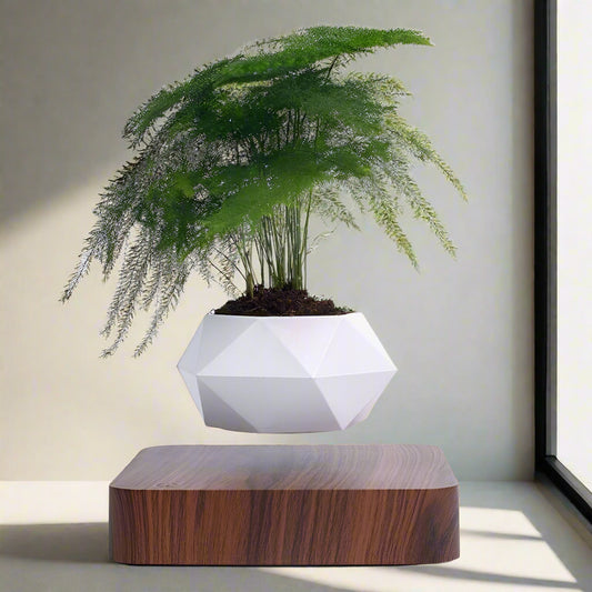 Magnetic Levitating Flower Pot with LED Light - Floating Planter for Home Decor & Unique Gifts
