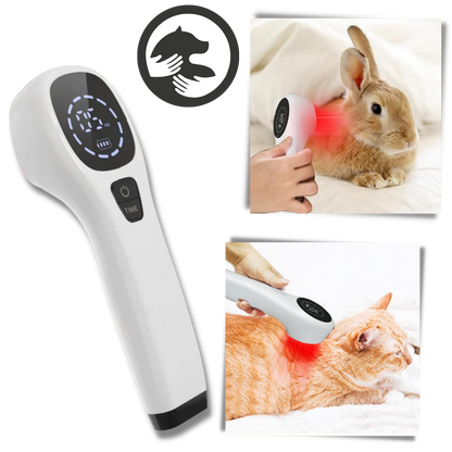 Advanced Laser Therapy for Dogs - Non-Invasive Pain Relief for Joint Pain, Arthritis & Wound Healing