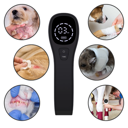 Advanced Laser Therapy for Dogs - Non-Invasive Pain Relief for Joint Pain, Arthritis & Wound Healing