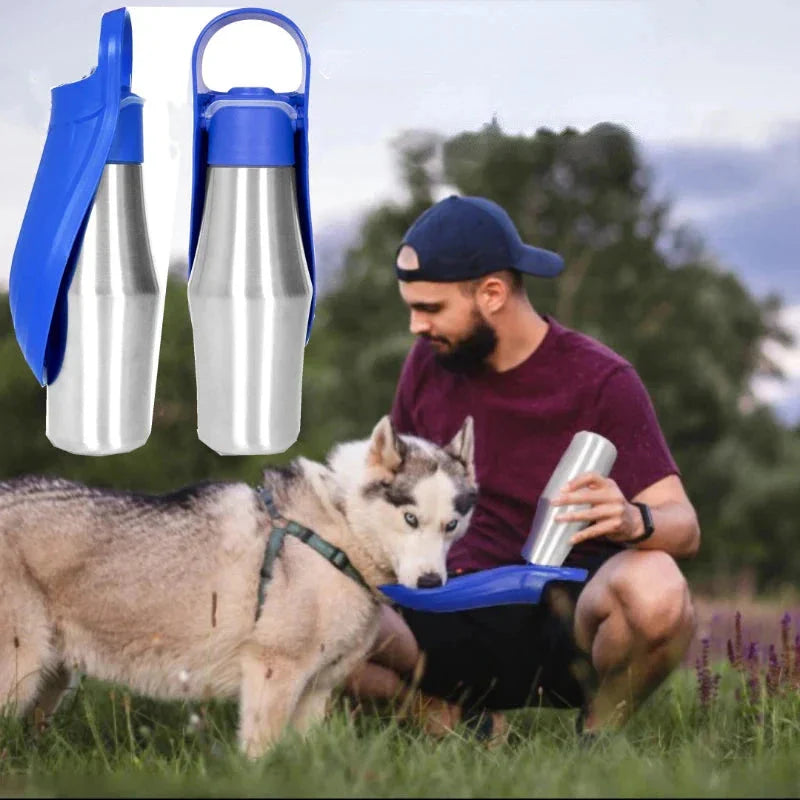 Insulated Dog Water Bottle | Stainless Steel, Leak-Proof & Perfect for Travel and Outdoor Adventures