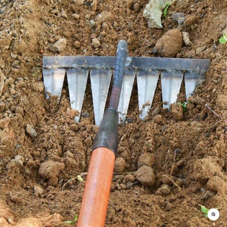 Steel Garden Rake | Heavy-Duty Stainless Steel with Deep-Penetrating Teeth for Effortless Weeding and Root Extraction