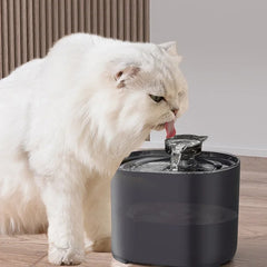 Wireless Automatic Cat Water Fountain | Filtered Fresh Water for Your Pet