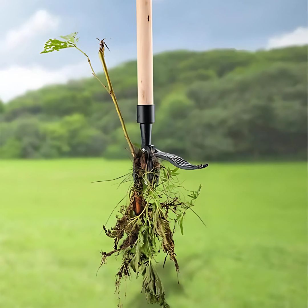 Ergonomic Weeding Tool | High-Strength Steel Claws for Effortless Weed Removal in Gardens