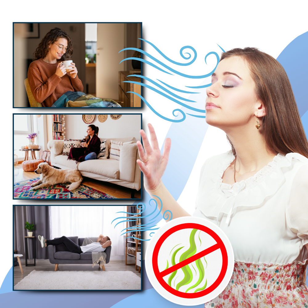 Multi-Surface UV Disinfectant Bulb – Strongest Bed Bug Killer for Home & Travel Use