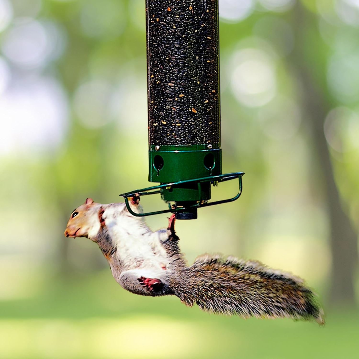 Squirrel Proof Bird Feeder | Heavy-Duty Metal, Multi-Feeding Ports & Ideal for Backyard Birdwatching