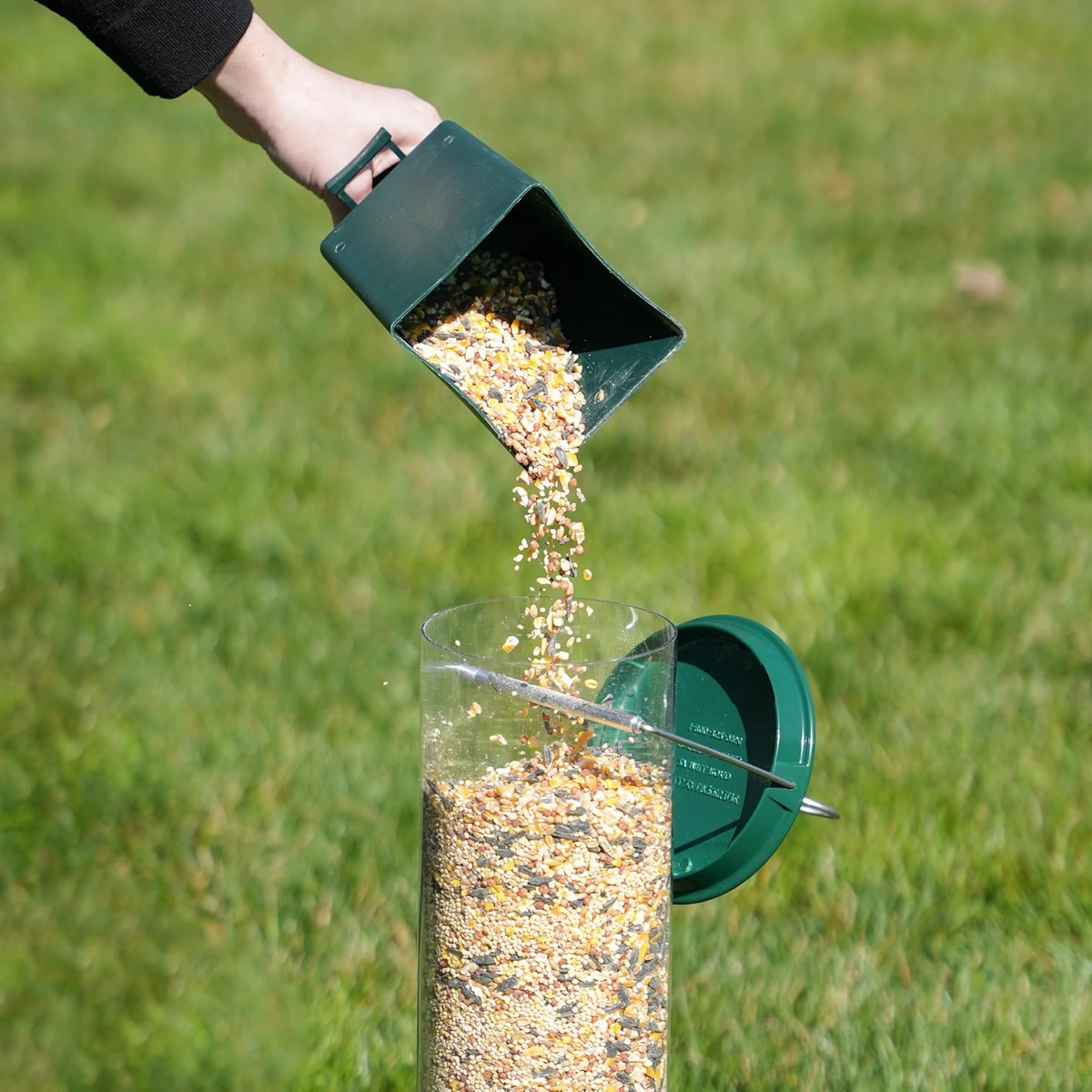 Squirrel Proof Bird Feeder | Heavy-Duty Metal, Multi-Feeding Ports & Ideal for Backyard Birdwatching