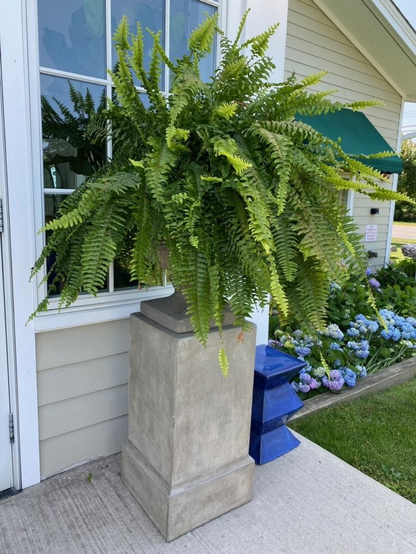 UV Resistant Artificial Boston Fern | Lifelike, Waterproof & Maintenance-Free for Outdoor Décor