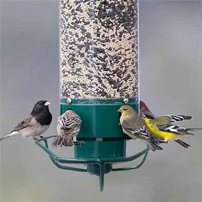 Squirrel Proof Bird Feeder | Heavy-Duty Metal, Multi-Feeding Ports & Ideal for Backyard Birdwatching