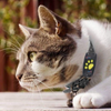 Image of Cat GPS Tracker for Pets Locator Device Microchip