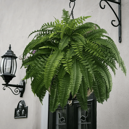 UV Resistant Artificial Boston Fern | Lifelike, Waterproof & Maintenance-Free for Outdoor Décor