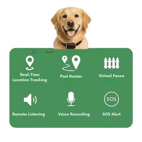 GPS Dog Collar | Waterproof, Adjustable & Unlimited Range for Real-Time Tracking