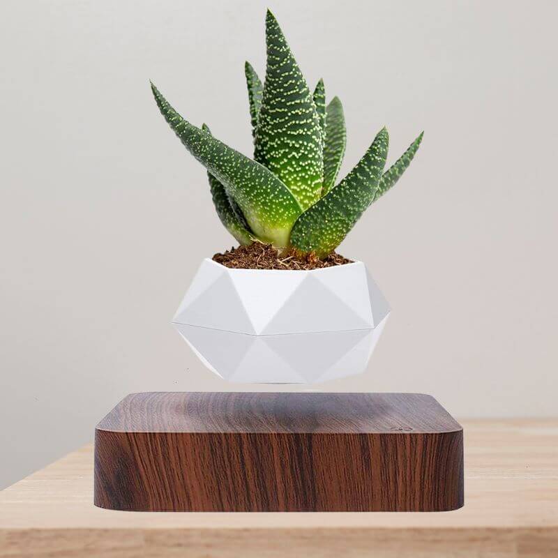 Magnetic Levitating Flower Pot with LED Light - Floating Planter for Home Decor & Unique Gifts