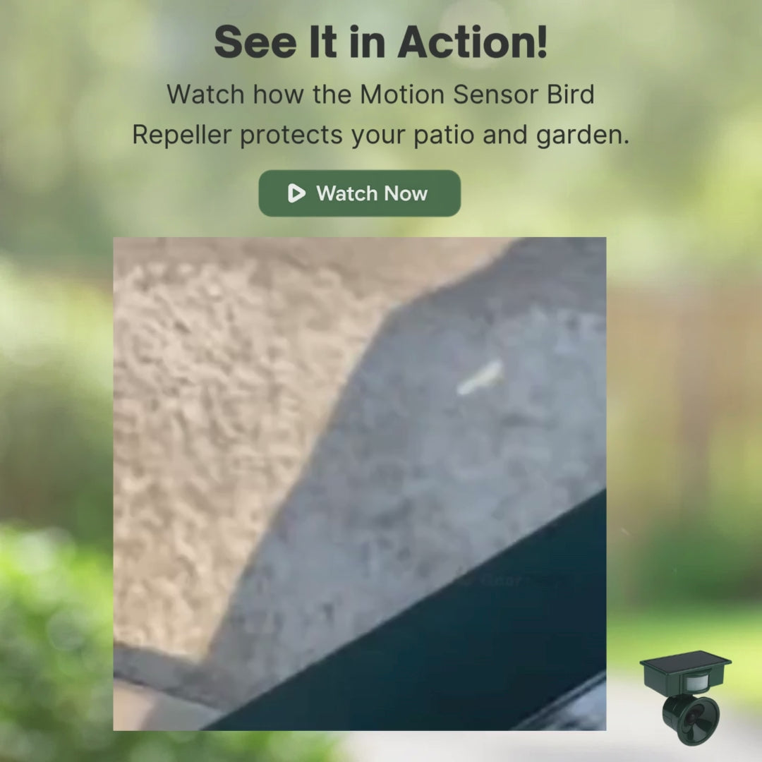 Motion Sensor Bird Deterrent for Crows: Ideal Pigeon Repeller with Sound Scarer